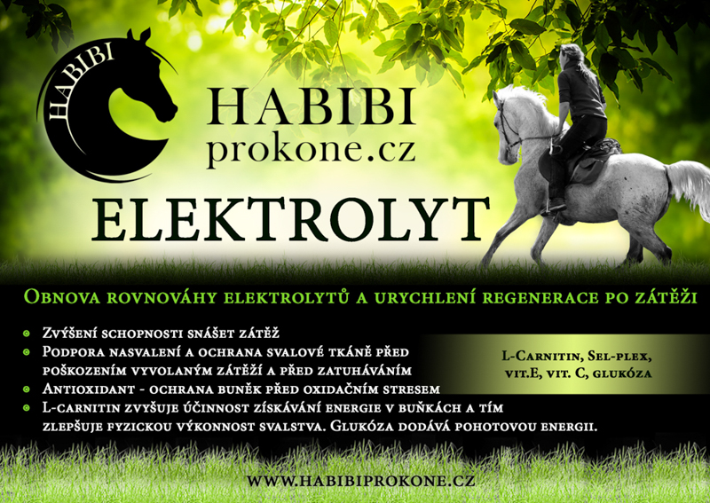 HABIBI - ELEKTROLYT 2,7 Kg